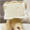 GUND Peek-A-Boo Teddy Bear Plush, Animated Stuffed Animal for Babies