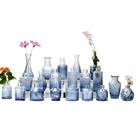 Glass Bud Vase Set of 20, Small Flower Vases, Glass Vases for Centerpieces, Vintage Home Table Decorations Bud Vases (20 Pcs, Blue)
