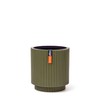 Capi Europe - Cylinder Groove Colours - 15x17 - Green