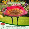HONGLAND Bird Bath for Outside-Bird Baths for Outdoors-Glass Large Birdbaths