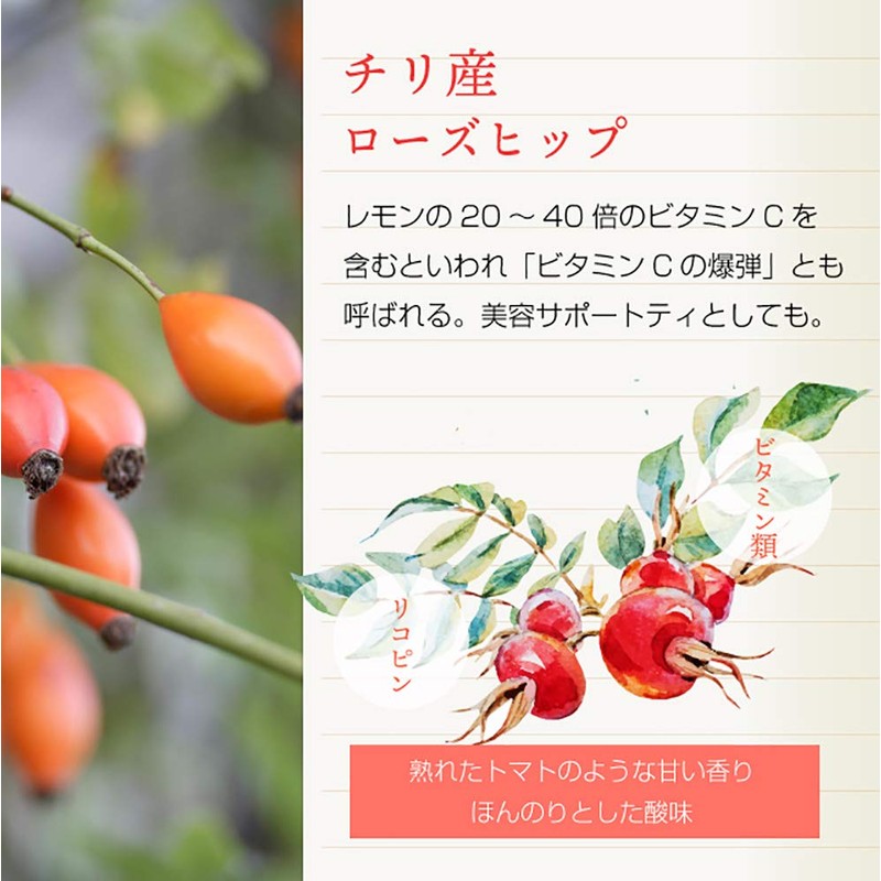 nichie Rose Hip Tea Single Herbal Tea Rose Hip Shell