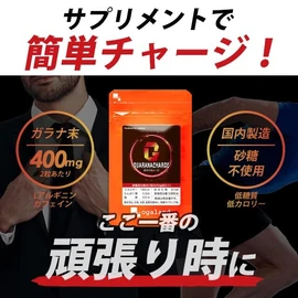 オーガランド (ogaland) ガラナチャージ (360粒 / 6個セット) サプリ カフェイン ガラナ アルギニン 気合いを入れたい方に