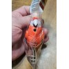 Greenbrier International Realistic Motion Activated Sensor Plastic Parrot Bird