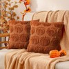RABUSOFA Fall Pillow Covers16x16 Set of 2 Fall Decorations Autumn