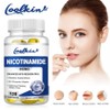500mg Vitamin B3 Nicotinamide 120 Capsules - Energy Support Skin Health, 2 Count, 60 Tablets / 500mg 비타민 B3 니코틴아마이드 120캡슐 - 에너지 지원 피부 건강, 2개, 60정