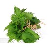 Shiso Seeds, Pack of 1500+ Perilla Seeds for Planting