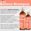 Difeel Batana Shampoo 33.8 Ounces - Strengthening Sulfate Free Shampoo