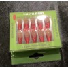 PaintLab Salon Quality Press On Nail Set Of 30~Includes Free