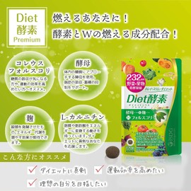 ISDG diet酵素 232種類野菜＆果物発酵凝縮 植物酵素 乳酸菌発酵 燃焼成分配合 120粒 2個セット