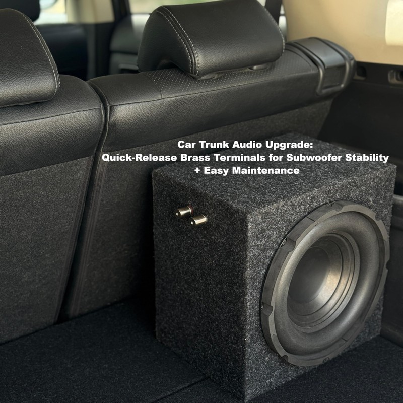 2-Pack HI-END Audio Brass Binding Posts Banana Jack - Solderless