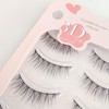 CLEAREYELASH Natural False Eyelashes, Natural 3D Eyelashes, 5 Pairs (N03