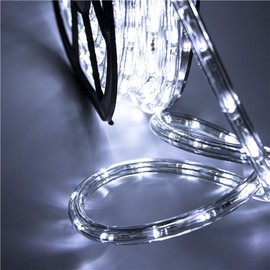 Leisurelife Waterproof LED Rope Lights Outdoor, Cold White, 100FT / 30M, 1080 Lights