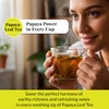 2.6oz Dried Papaya Leaves, 100% Natural Leaves, Papaya Leaf Tea,