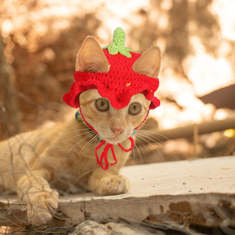 Strawberry Cat Hat, Cartoon Strawberry Design Knit Hat, Cotton &