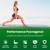 NutraChamps Pycnogenol French Maritime Pine Bark Extract, Premium Circulation Complex,
