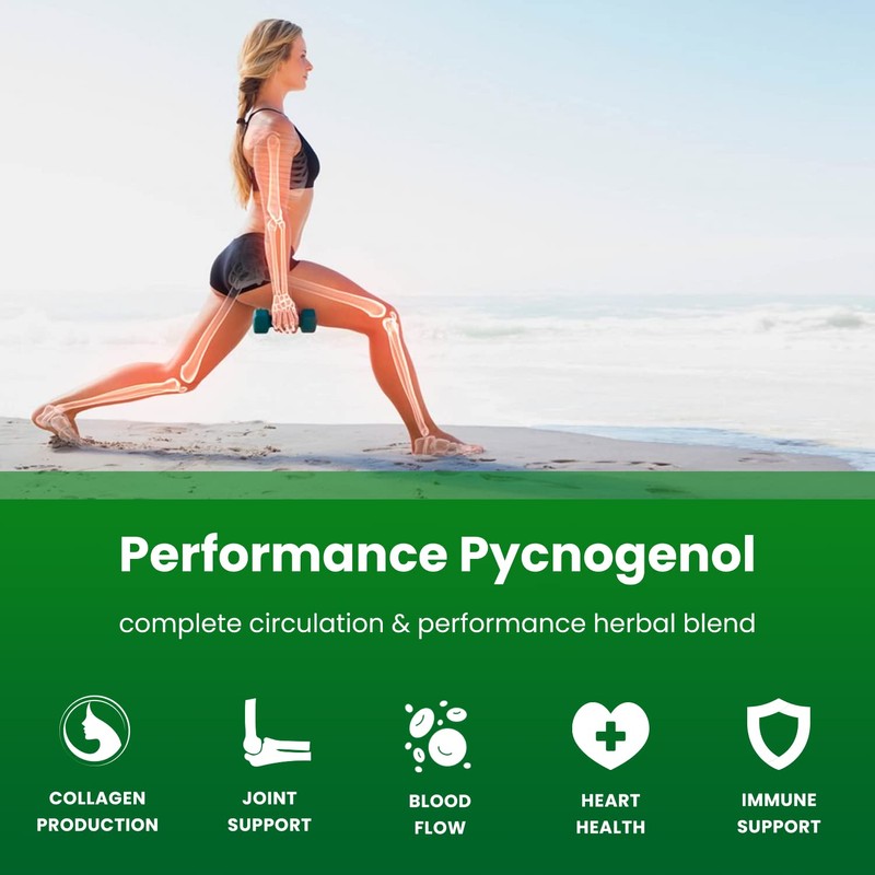 NutraChamps Pycnogenol French Maritime Pine Bark Extract, Premium Circulation Complex,