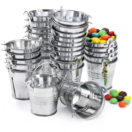 Frcctre 30 Pack Mini Metal Buckets with Handles, 2 Inch Mini Galvanized Buckets Metal Tin Pails Containers for Party Favor Crafts Gift Decorations Succulent