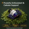 NatureBell Resveratrol - 180 Vegetarian Capsules - 1,000mg Polygonum Cuspidatum
