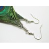 Real Peacock Feather Earrings - New - Pair!