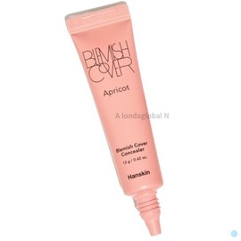 Hanskin 한스킨 블레미쉬 커버 컨실러 살구핑크 잡티 다크서클 Hanskin Blemish Cover Concealer Apricot Pink Blemishes Dark Circles