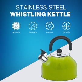 Premium Stainless Steel Whistling Kettle | 10 Colors | Stove top | Non-Drip Pouring Spout | Cool Touch Handle | Whistling Spout | 2.5L Capacity (Silver)