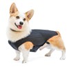 IVDD Back Brace for Dogs, Flexible Pet Dachshund Back Supporting
