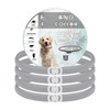 RYEWGRV 4 Pieza Collar con Hebilla, 65CM/26.6in (Gris)