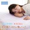 Bed Pad, Absorbent, Quick Drying, Double, Purple, 55.1 x 80.7