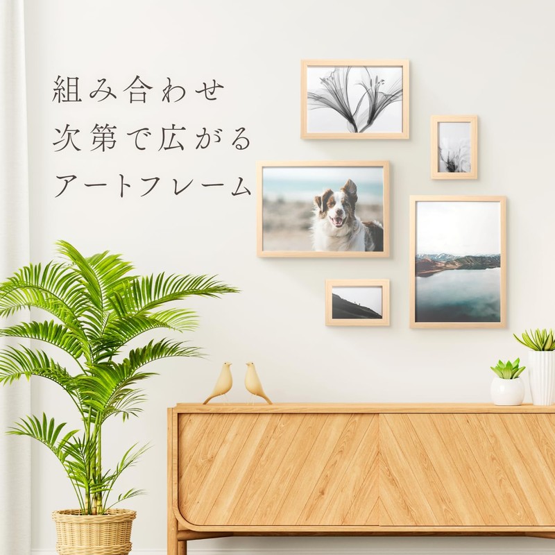 FRAME SHIROYAMA 275 Frame Airframe Resin Simple Interior Poster Photo