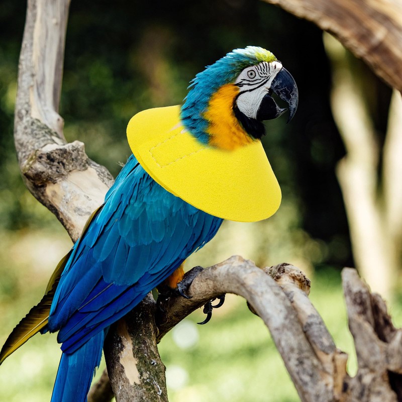 POPETPOP Bird Anti-bite Collar: Bird Protective Collar Parrot Protective Collar