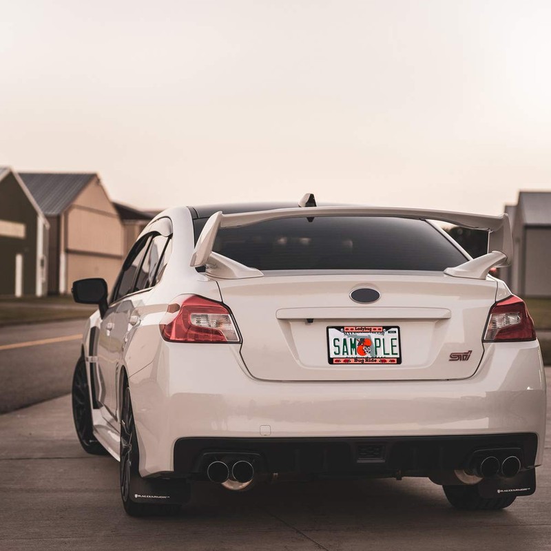 Fastasticdeals Metal Insert License Plate Frame Lady Bugs on Ride