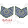 New Pair US Air Force USAF Small 3" TSgt Subdued