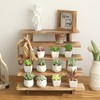 SwallowLiving 5 Tier Wooden Rustic Cupcake Stand for 30 Cupcakes,