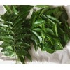 100% Natural Dried Neem Leaves – Powder or Whole |