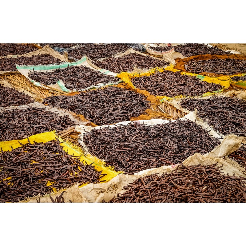 50 Vanilla Beans - Whole Gourmet Grade A Pods for