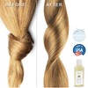 Soapeauty Kukui Nut Oil | 100% Pure & Natural |