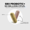 Codeage Codeage SBO Probiotics, 50 Billion CFUs Per Serving, Multi