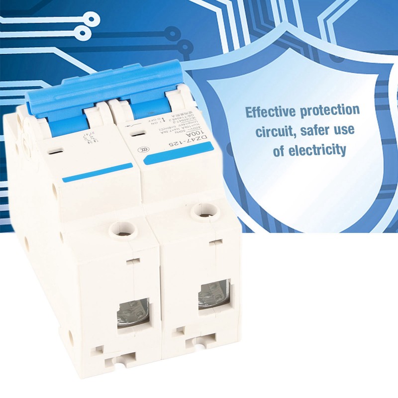 400V 80/100/125A Leakage Protection Switch DZ47‑125 2P​ Current Miniature Circuit
