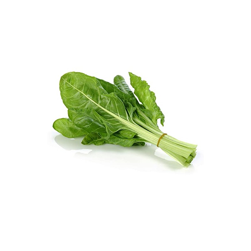 Swiss Chard Seeds - Japanese Umaina - 4 g Packet