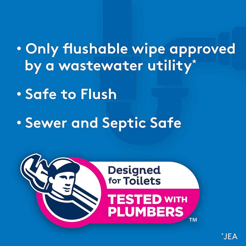 Cottonelle Flushable Wipes (504 Count)