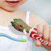 The Tree Man Toothpaste Cap Dispenser for Kids and Adults,