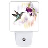 Jopowide Groovy Hummingbird Flowers Dusk to Dawn Night Light, Auto