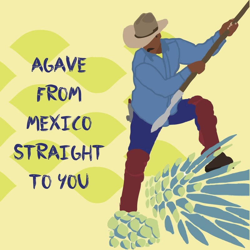 Chantico Agave Organic Sweetener (Variety 3 pack, Raw, Wild, Hot)