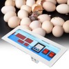 Full Automatic Egg Incubator Temperature Humidity Controller Digital Hatch Controllers