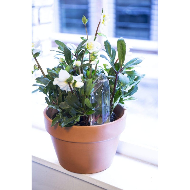 Kikkerland Hand Blown Glass Self Watering Stake for Potted Plants