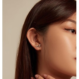 Cute Dachshund 925 Sterling Silver Stud Earrings For Women Girls Animal Puppy Dog Pets Cartilage Pierced Earrings Hypoallergenic Jewelry Funny Gifts Birthday