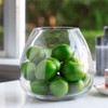 Enova Floral Clear Dome Shaped Terrarium Bowl Glass Vase, H