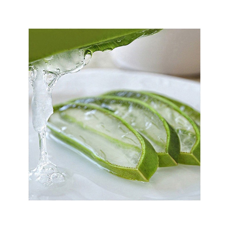 Kwon Do-young Aloe 유기농 생알로에 베라 1kg 식용 Organic Fresh