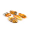 CRYSTALINES 5pcs Natural Bumble Bee Jasper Gemstones, Wholesale Jasper Cabochon,