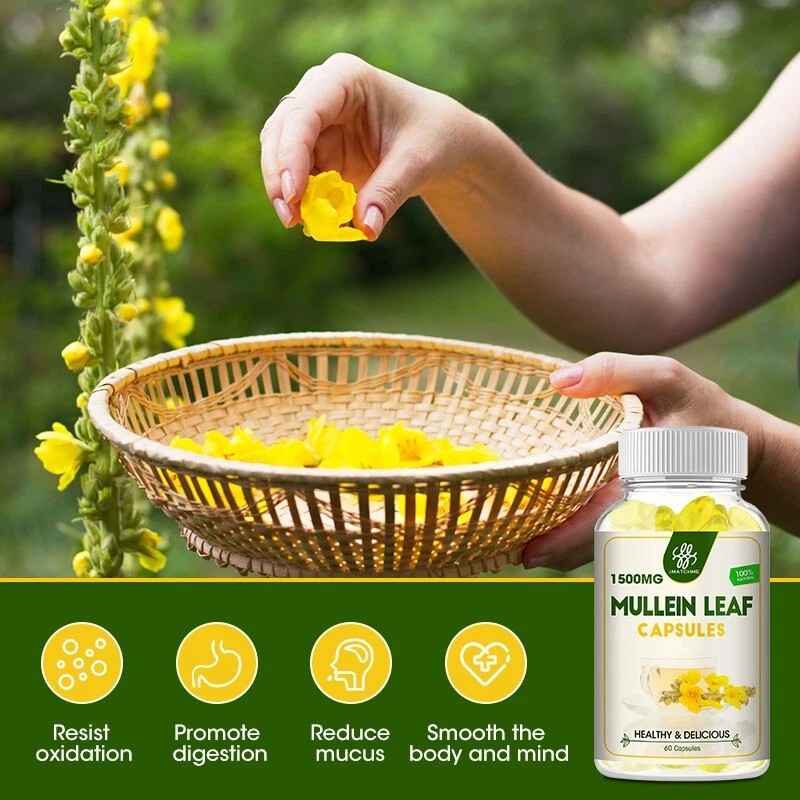 Mullein Leaf Capsules Vegan Natural Dietary Supplement For Lung Cleanse